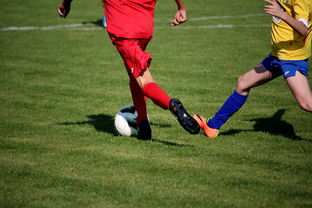 AYX体育官网-NBA球员训练计划个性化设计，nba球员训练视频,篮球技术